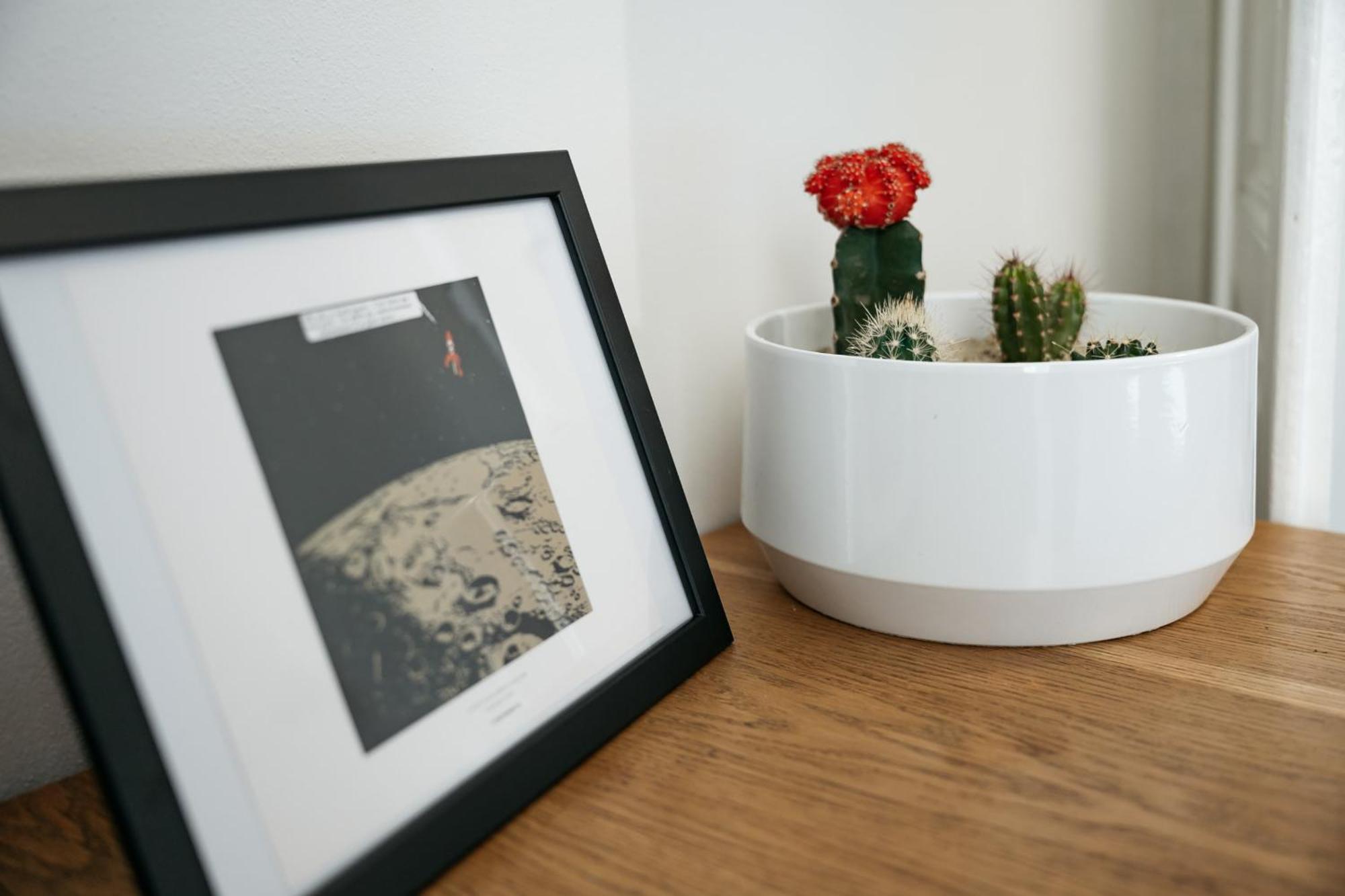 Comfortable And Cosy Apt A Few Steps From Dancing House And Naplavka Dance Prague Extérieur photo